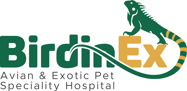 Birdinex Birds and Exotic Pet Speciality Hospital Ernakulam